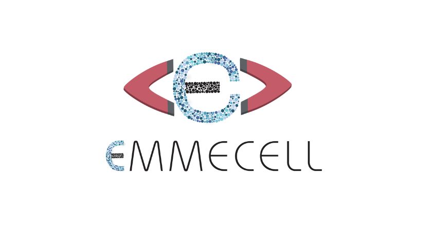 Emmecell Appoints Ramin Valian as CEO